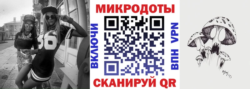 Псилоцибиновые грибы Psilocybine cubensis  Одинцово 