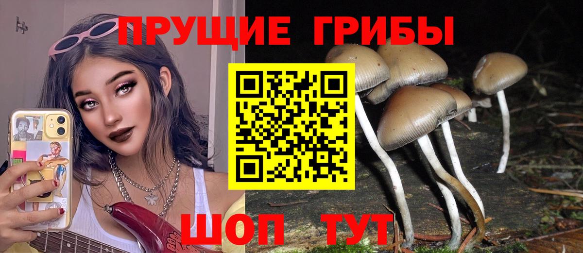 Галлюциногенные грибы MAGIC MUSHROOMS  Вход с VPN  Одинцово  Галлюциногенные грибы Psilocybe 